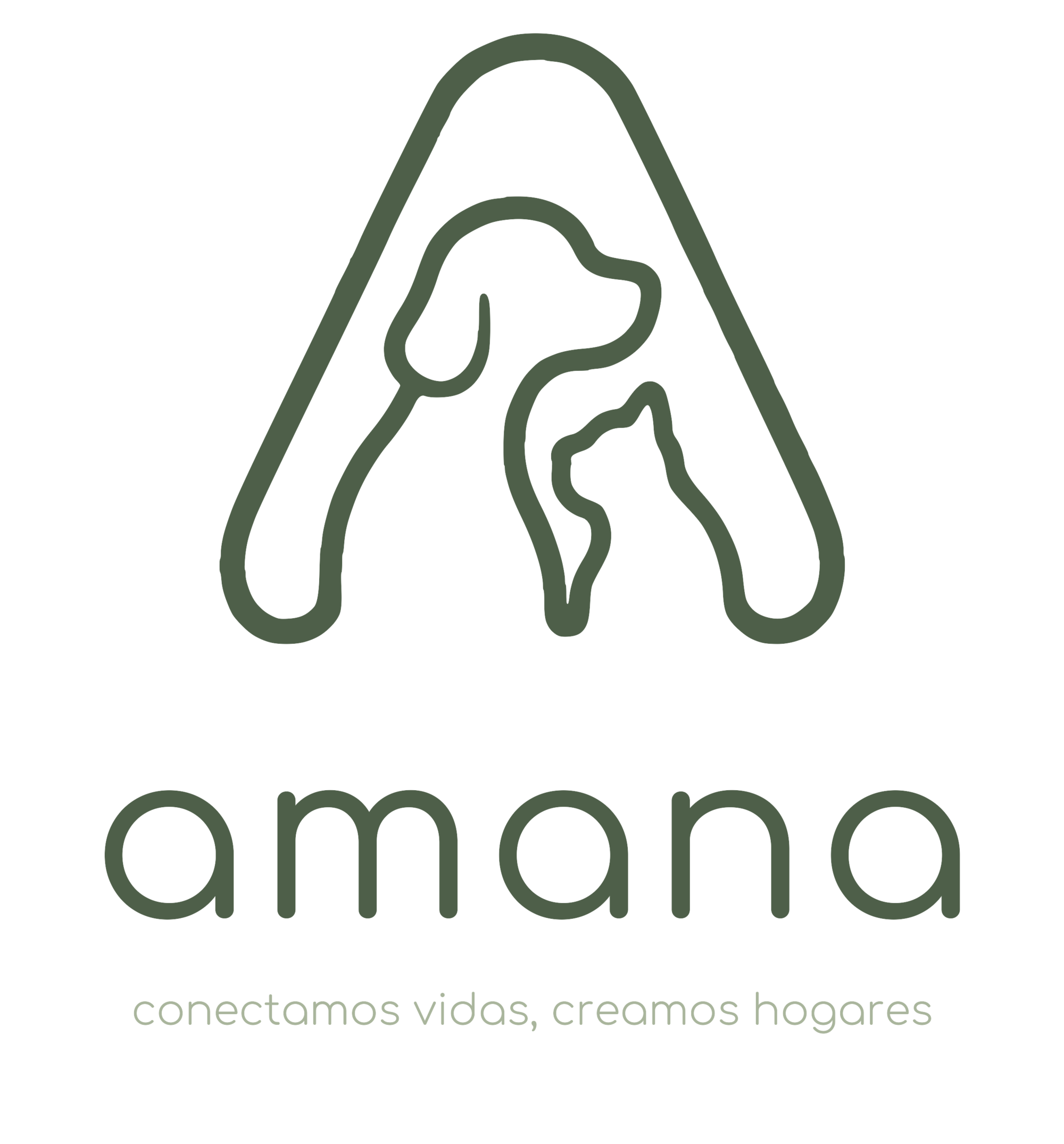 AMANA: tecnología para facilitar el día a día de las protectoras